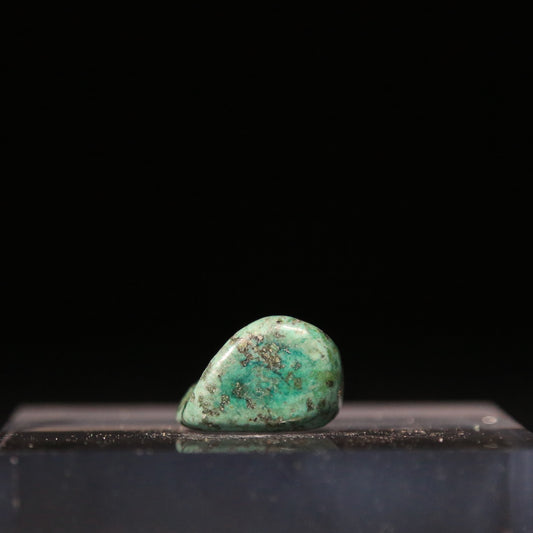 African Turquoise