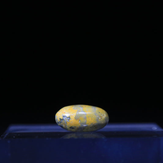 Bumble Bee Jasper
