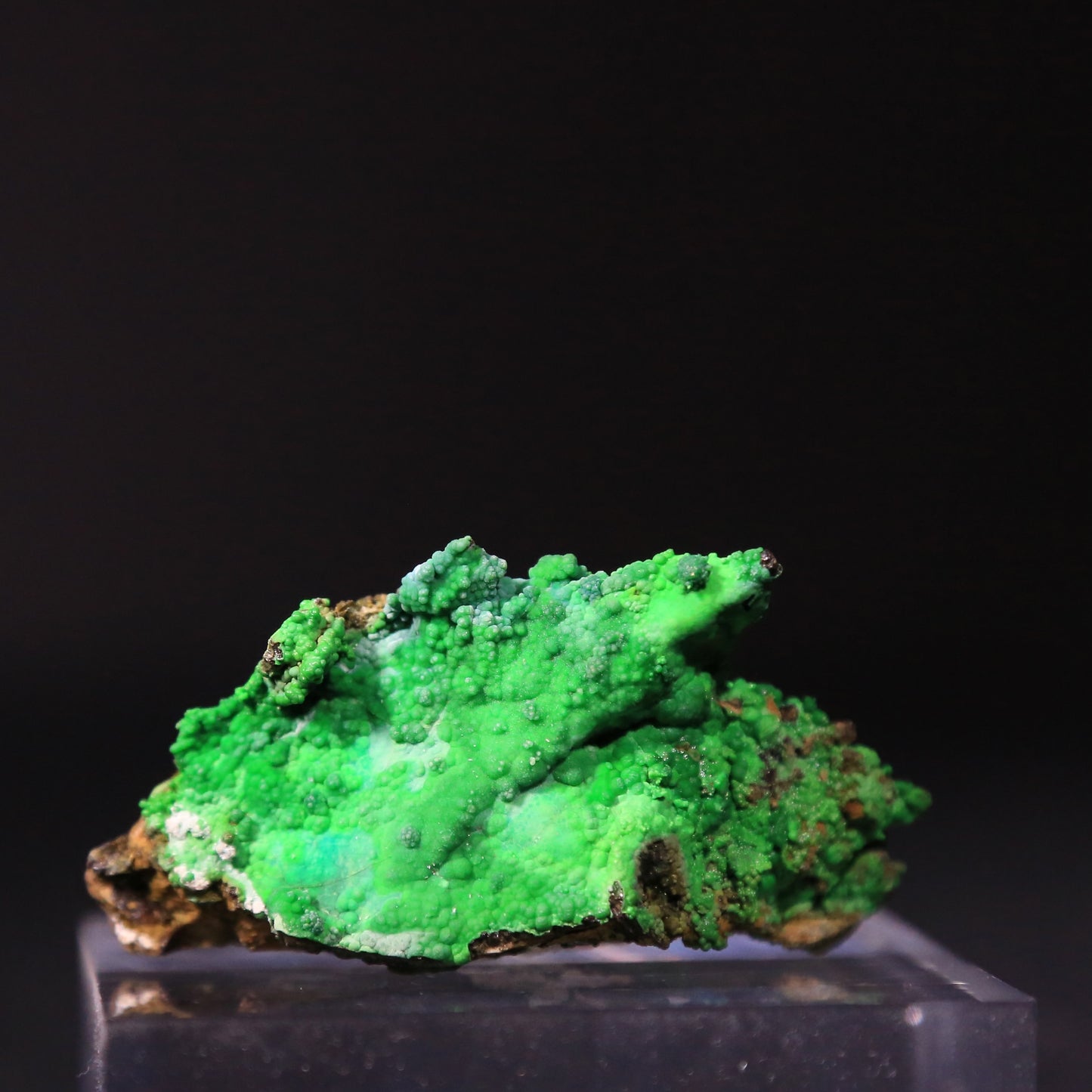 Conichalcite with Halloysite (64 grams)