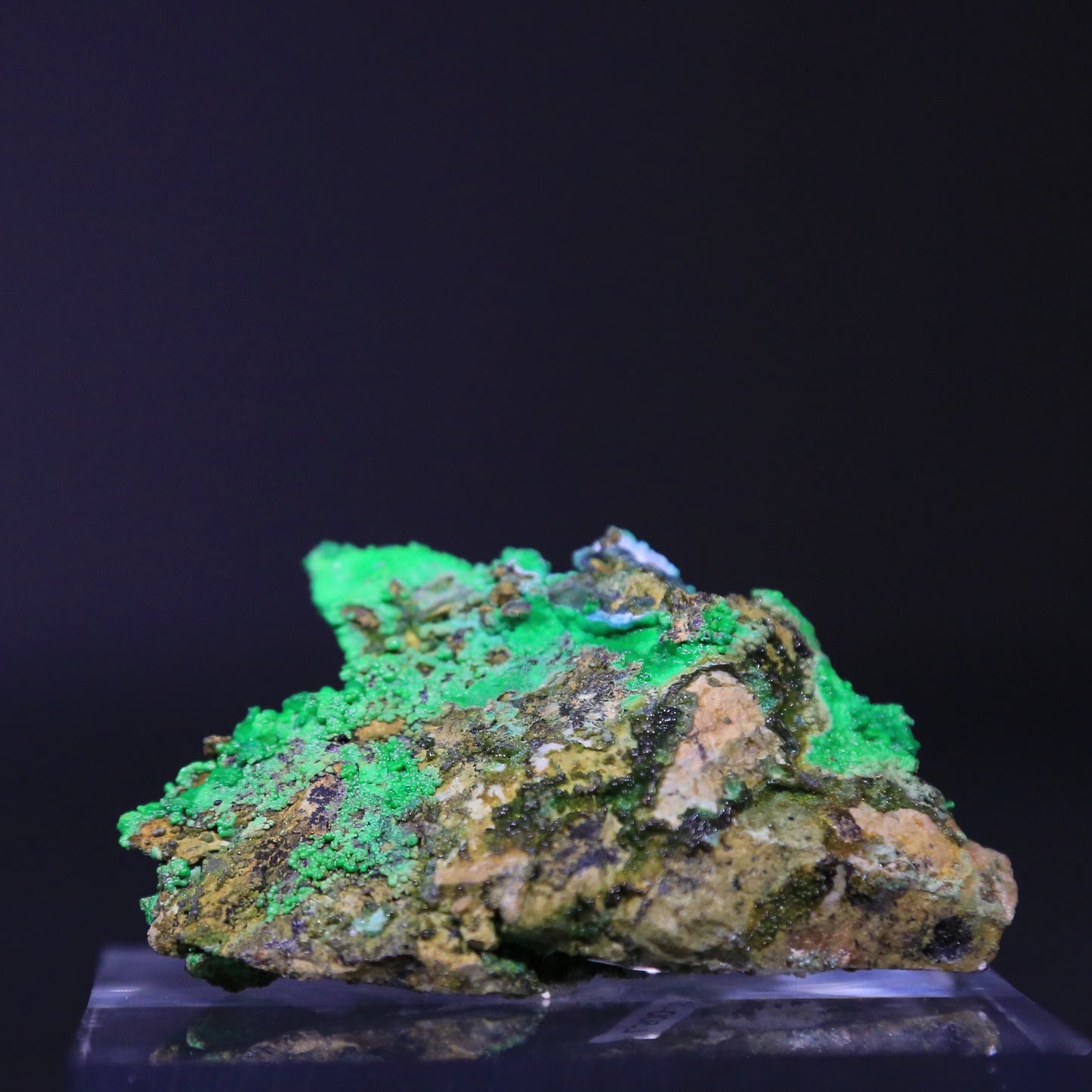 Conichalcite with Halloysite (64 grams)