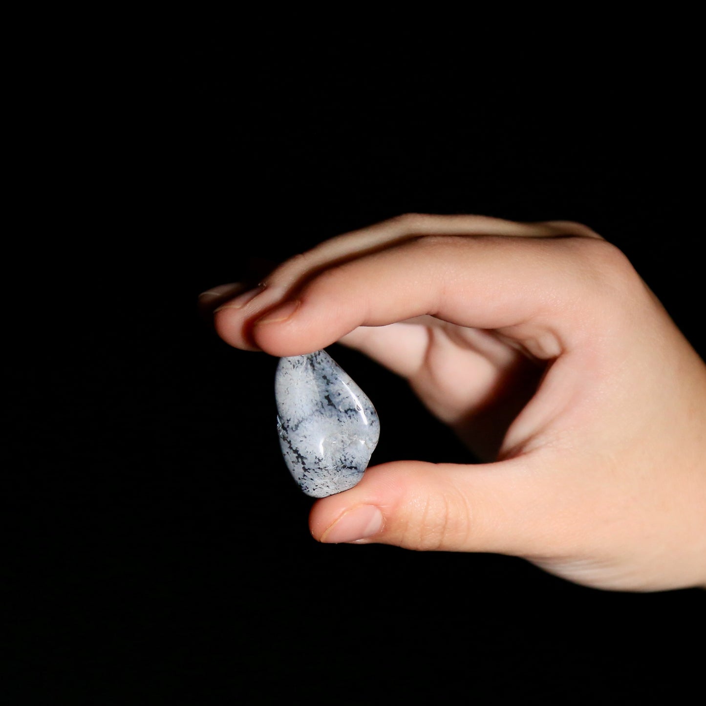 Snowflake Obsidian Tumbled (medium)