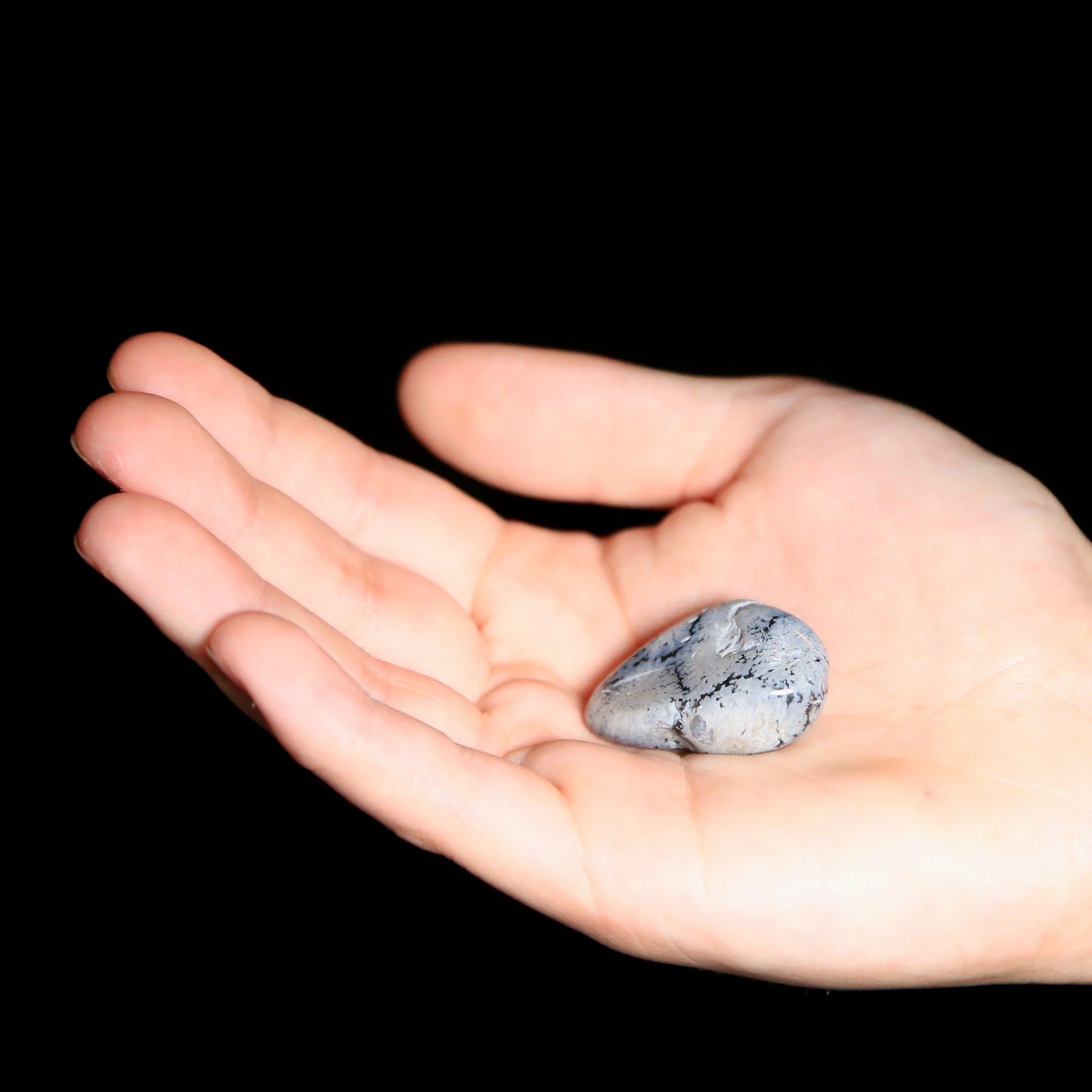 Snowflake Obsidian Tumbled (medium)