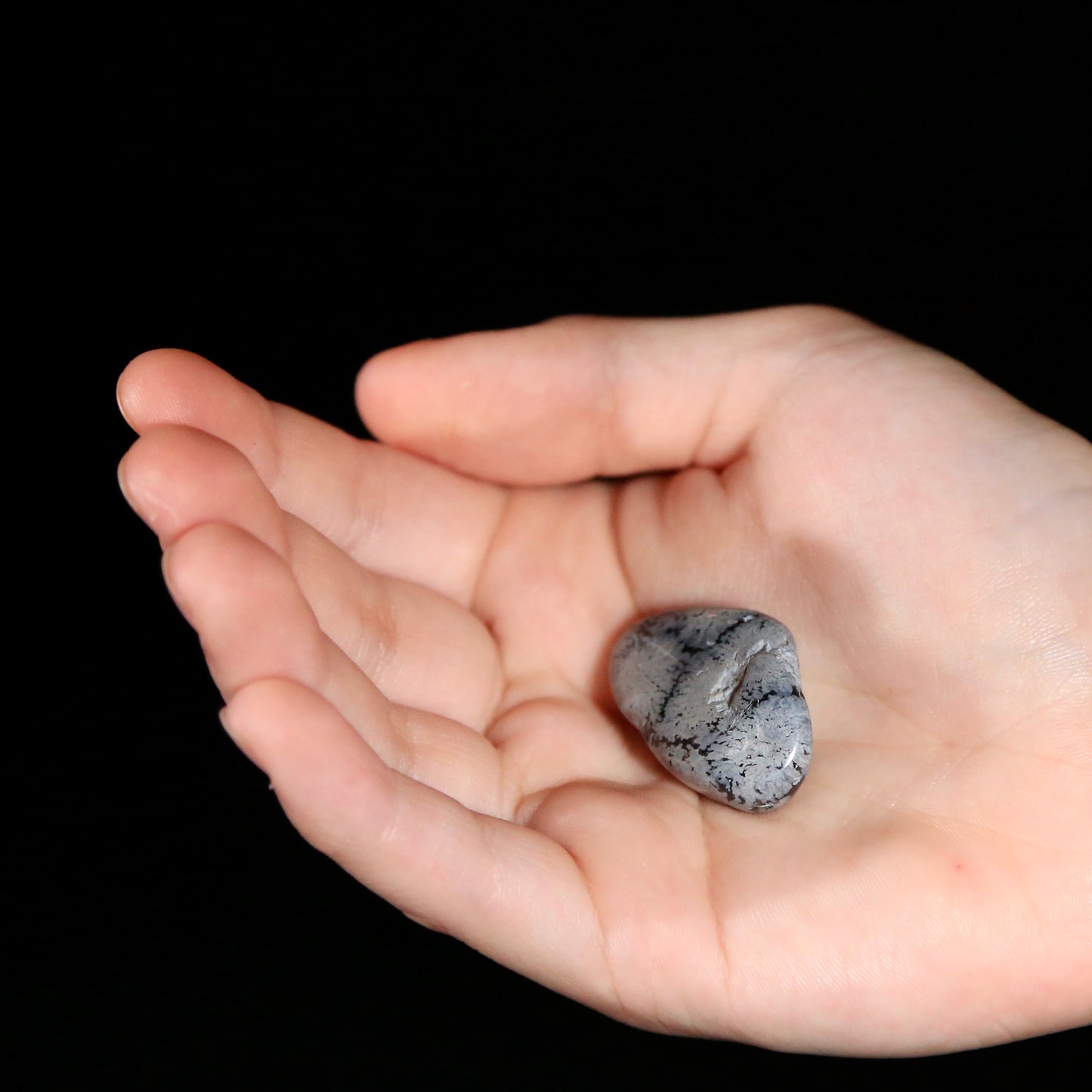 Snowflake Obsidian Tumbled (medium)
