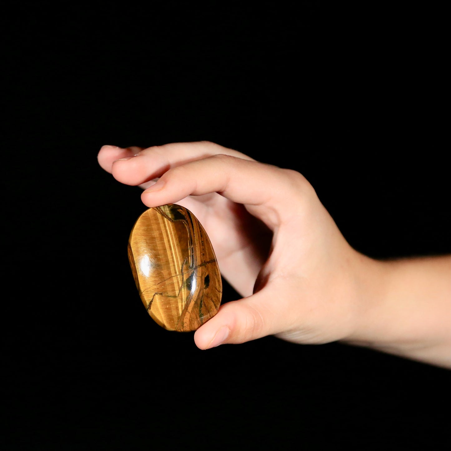 Tigers Eye Palm (large)