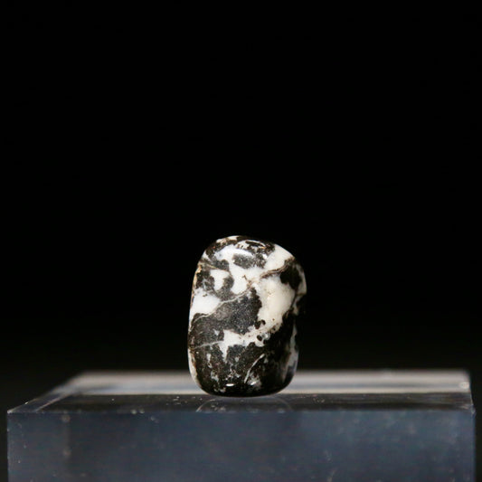 Zebra Jasper