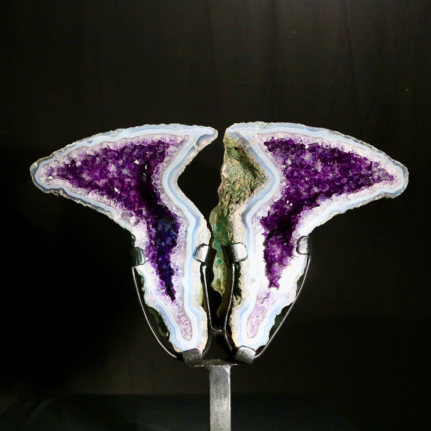 Amethyst Angel Wings mounted