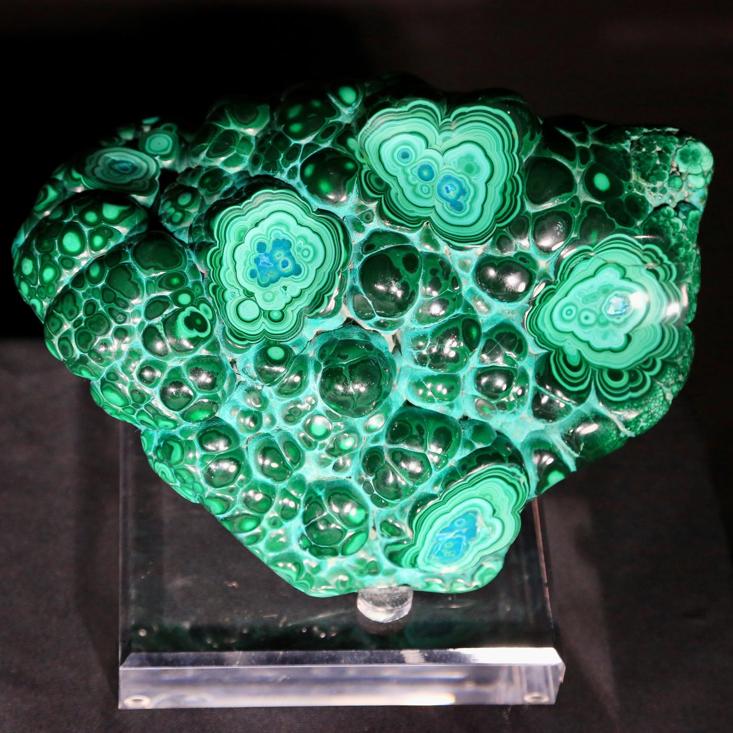 Malachite (Polished) from Democratic Republic of the Congo (8.7 pounds)