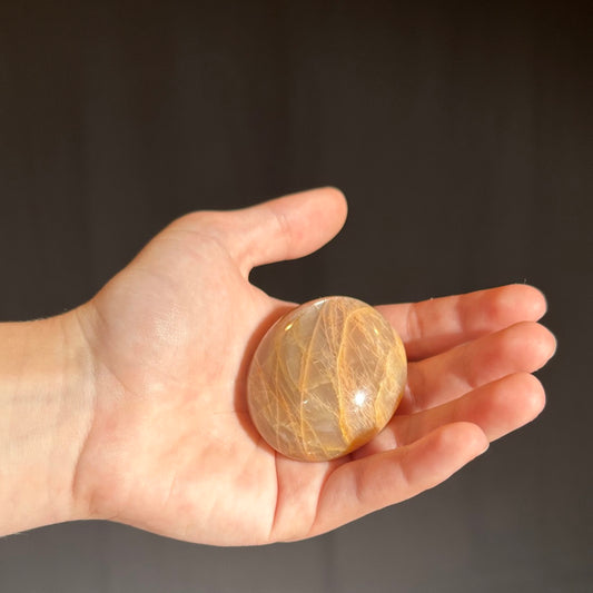 Peach Moonstone Palm from Madagascar (medium)