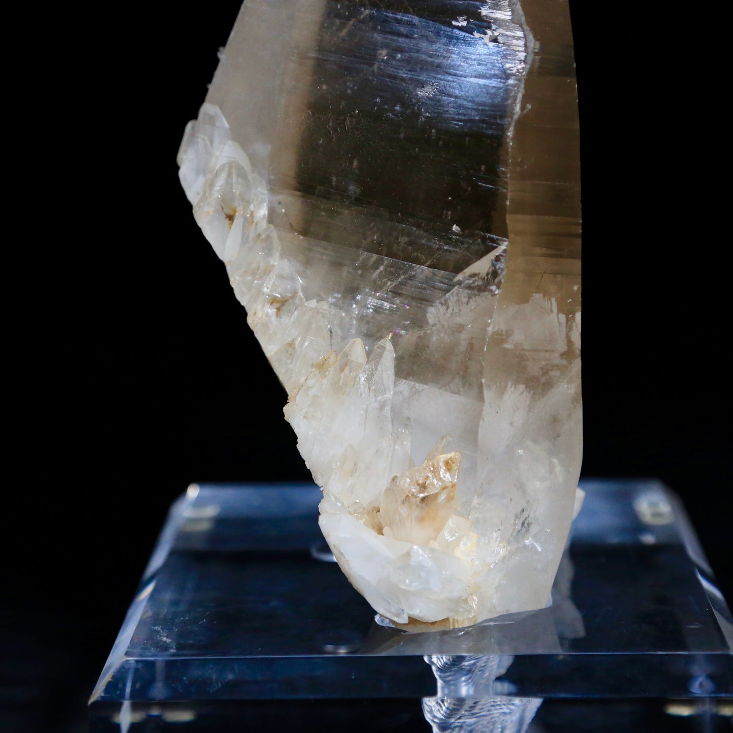 Quartz from Brazil (7 lbs 11 oz)