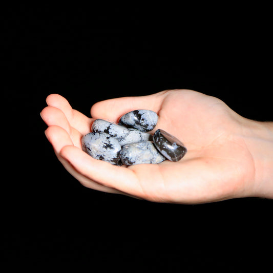 Snowflake Obsidian Tumbled (medium)