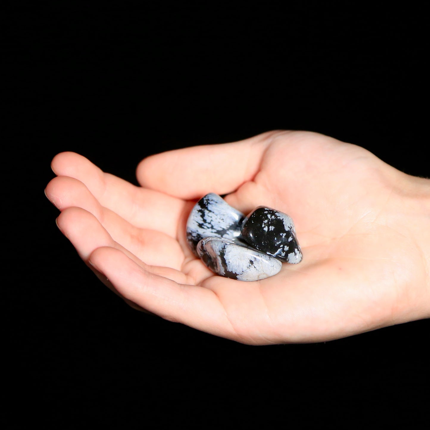 Snowflake Obsidian Tumbled (medium)